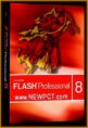 Macromedia Flash Profesional - Español